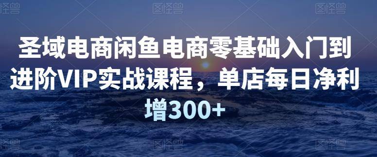 【圣域电商】闲鱼电商零基础入门到进阶VIP实战课程