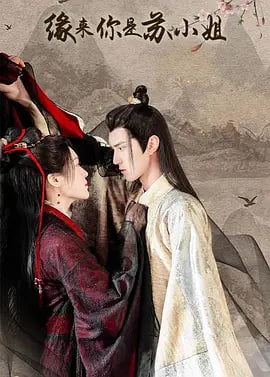 缘来你是苏小姐 (2022)