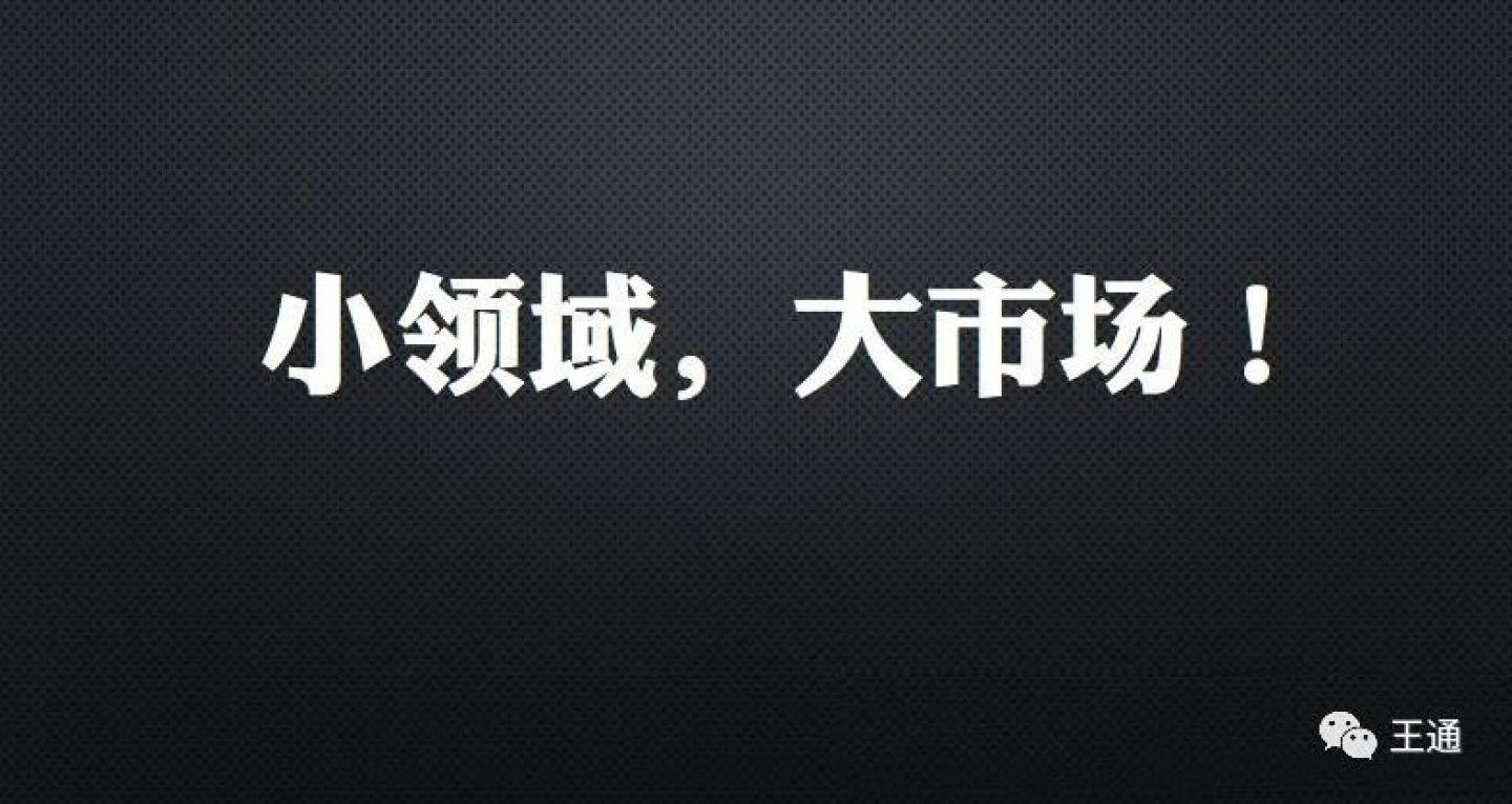 细分领域赚钱课：王通取名技能课