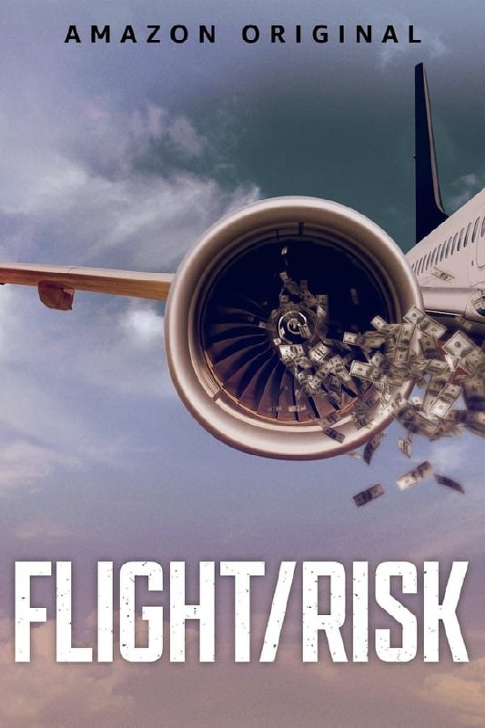 生死航班 (Flight Risk) 4K HDR