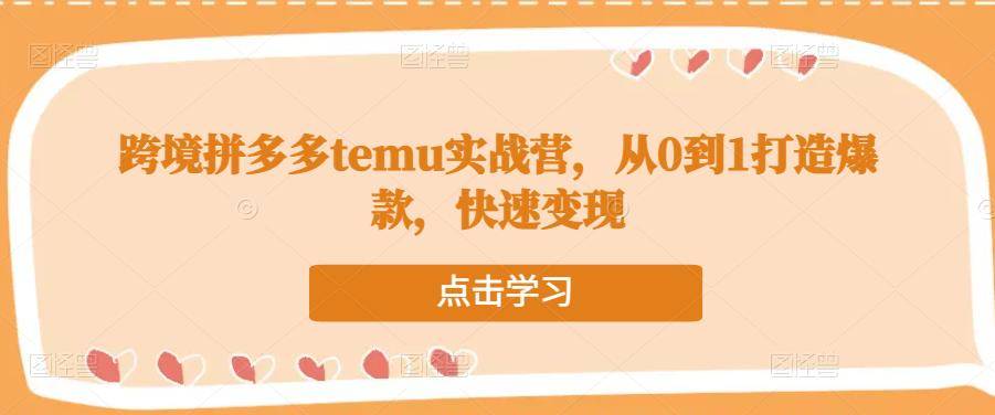 跨境拼多多temu实战营，从0到1打造爆款，快速变现