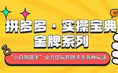 拼多多·实操宝典：金牌系列“小白到高手”带你全方位玩转拼多多各种玩法