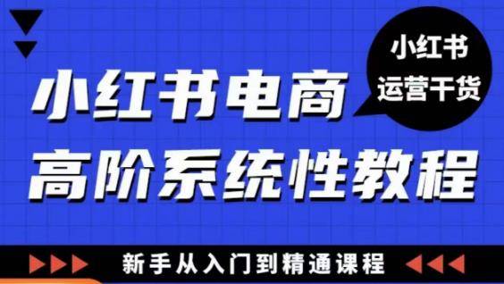 小红书电商高阶系统教程，新手从入门到精通系统课-旺仔资源库