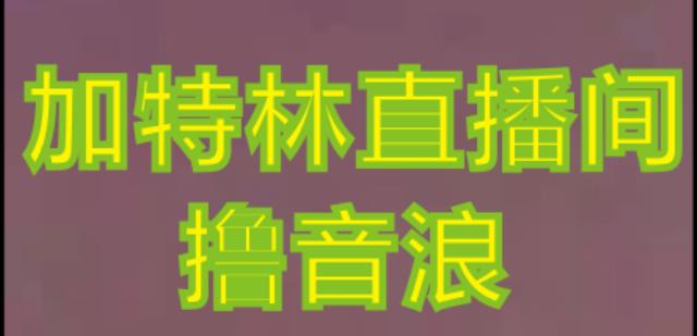 抖音加特林直播间搭建技术，抖音0粉开播，暴力撸音浪，2023新口子，每天800+【素材+详细教程】-旺仔资源库