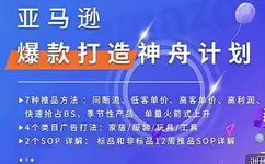 亚马逊爆款打造神舟计划，​7种推品方法，4个类目广告打法，2个SOP详解