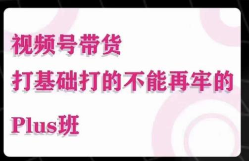 大播汇·视频号带货Puls班，视频号底层逻辑，起号自然流鱼塘等玩法-旺仔资源库