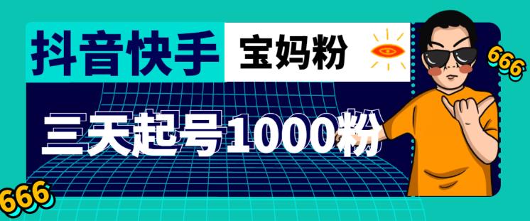 抖音快手三天起号涨粉1000宝妈粉丝的核心方法【详细玩法教程】-178分享