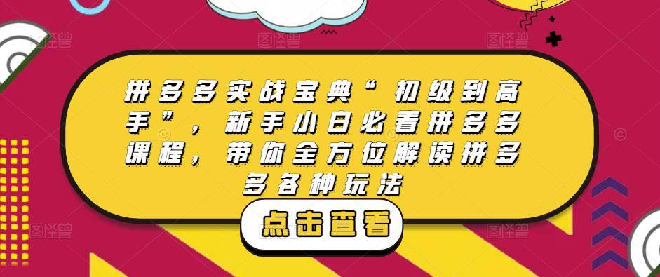 拼多多实战宝典“初级到高手”，新手小白必看拼多多课程，带你全方位解读拼多多各种玩法-旺仔资源库