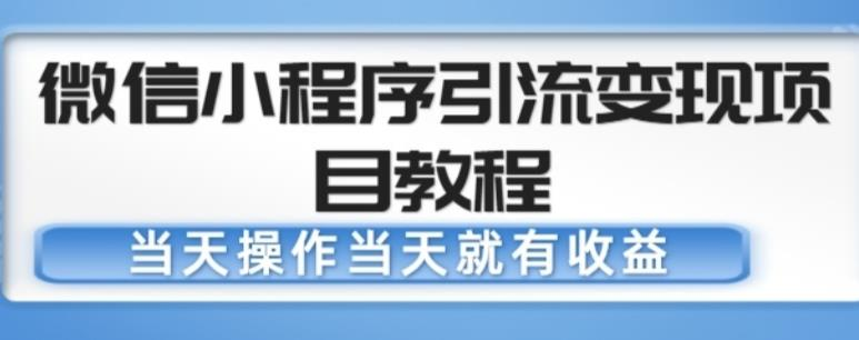 微信小程序引流变现项目教程，当天操作当天就有收益，变现不再是难事-旺仔资源库