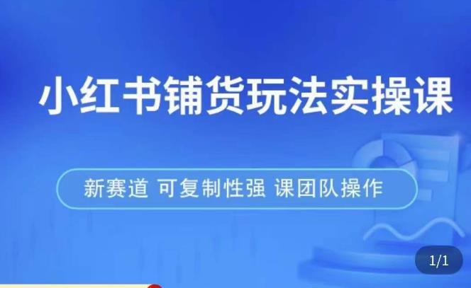 小红书铺货玩法实操课，流量大，竞争小，非常好做，新赛道，可复制性强，可团队操作-旺仔资源库