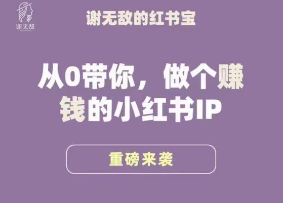 谢无敌·小红书运营大宝典，从0带你做个赚钱的小红书IP-旺仔资源库