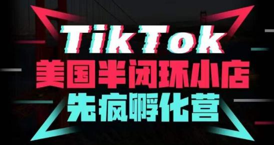 疯人院·TikTok美国半闭环小店孵化营，抢占TikTok美国蓝海市场，开店、运营、带货、投流全实操-178分享