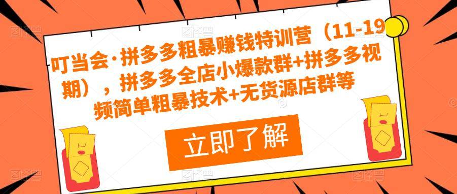 叮当会·拼多多粗暴赚钱特训营（11-19期），拼多多全店小爆款群+拼多多视频简单粗暴技术+无货源店群等-旺仔资源库