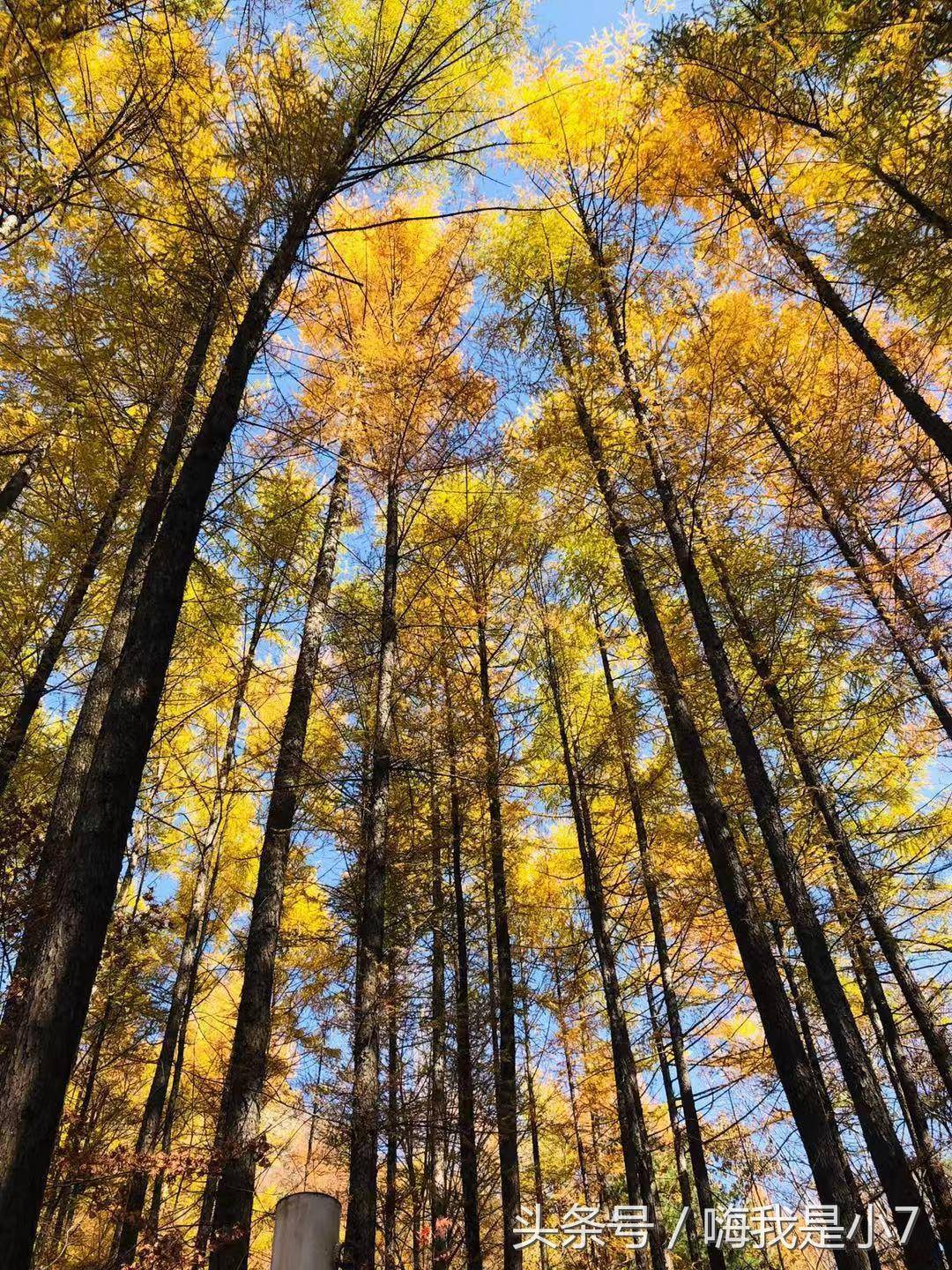 本溪关门山一日游游记