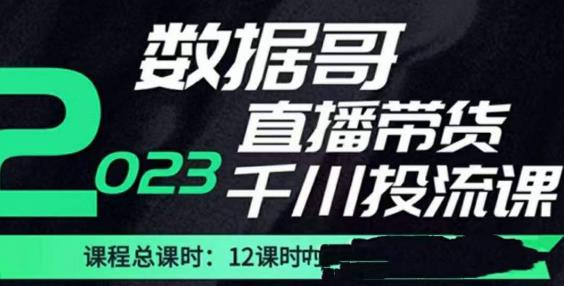 数据哥2023直播电商巨量千川付费投流实操课，快速掌握直播带货运营投放策略-178分享