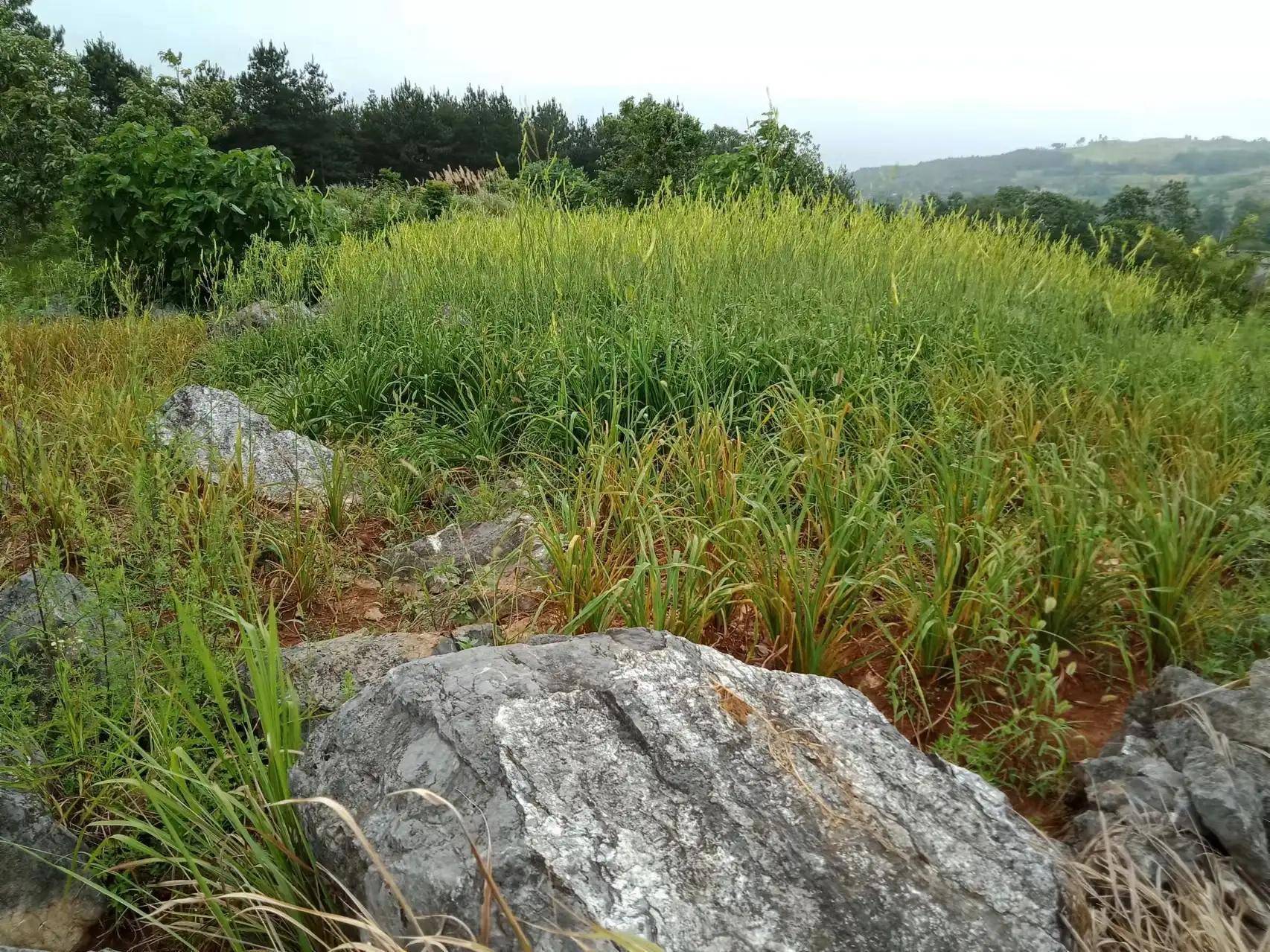 乾德堂易经风水馆怎么样(易善堂风水)