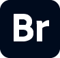Adobe Bridge 2023 v13.0.3.693