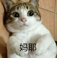 【震惊】拳皇乙女向手游?!我嗅到了青青草原的味道