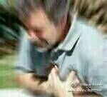 【震惊】拳皇乙女向手游?!我嗅到了青青草原的味道